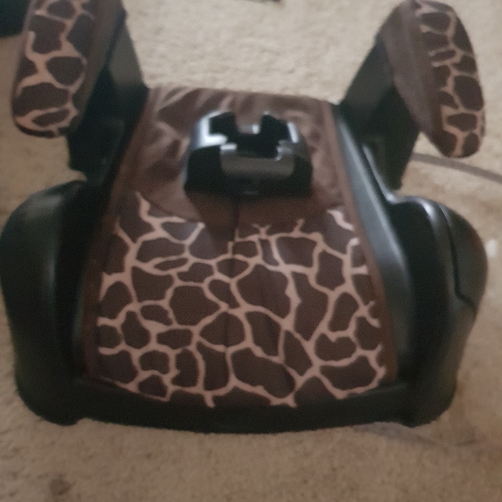 Cosco ambassador booster seat